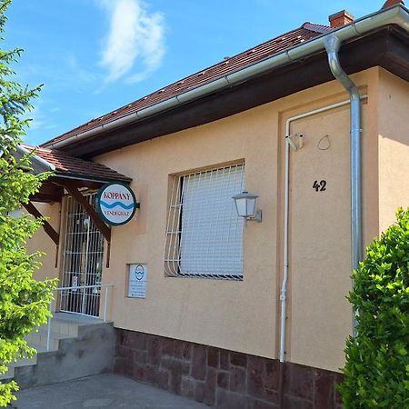 Koppany Vendeghaz Apartment Adand Екстериор снимка